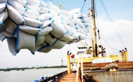 Mục tiêu xuất khẩu 6,7 triệu tấn gạo năm 2020 có thể sẽ cán đích