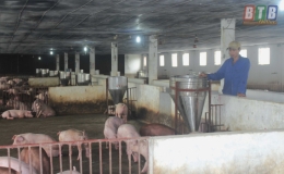 Ngăn chặn dịch bệnh động vật lây nhiễm vào tỉnh