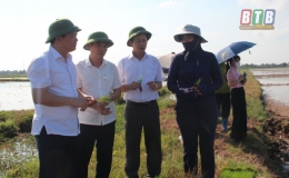 Thăm mô hình tích tụ ruộng đất tại Kiến Xương