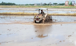 Tiền Hải: Đẩy nhanh sản xuất vụ mùa