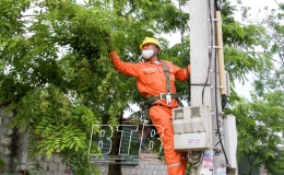 Cần xử lý nghiêm tình trạng thả diều gây sự cố lưới điện
