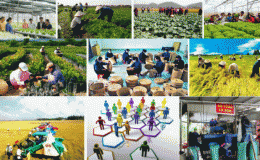 Đến năm 2025, cả nước có khoảng 134.000 tổ hợp tác