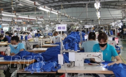 Đông Hưng: Tổng giá trị sản xuất 6 tháng đầu năm tăng 6,2% so với cùng kỳ