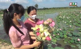 Hiệu quả ban đầu của HTX Hoa Sen Vân Đài