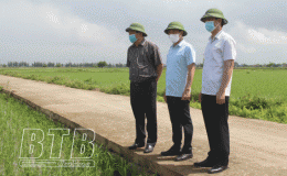 Kiểm tra, chỉ đạo sản xuất nông nghiệp tại Hưng Hà, Đông Hưng, Quỳnh Phụ