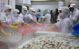 Kim ngạch xuất khẩu tăng 19,75% so với cùng kỳ