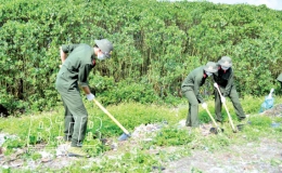 Lan tỏa thông điệp bảo vệ môi trường từ những hoạt động cụ thể