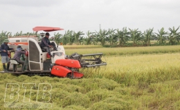 Liên kết - Hướng đi hiệu quả cho nông nghiệp