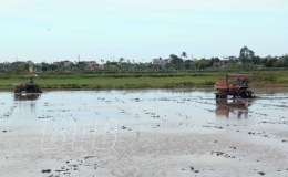 Quỳnh Phụ đã gieo cấy được 1.500 ha lúa mùa