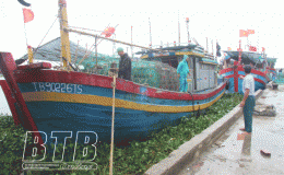 Các địa phương, đơn vị: Chủ động ứng phó với áp thấp nhiệt đới