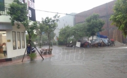 Tin mưa lớn diện rộng tại Thái Bình