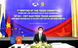 Xuất khẩu sang EU tăng trưởng mạnh mẽ