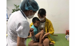 Gần 300 ca mắc tay chân miệng trong 6 tháng đầu năm