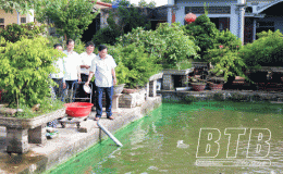 Hội Nông dân huyện Hưng Hà: Giúp hội viên làm giàu