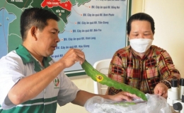 Những "bác sĩ" bắt bệnh cho cây trồng