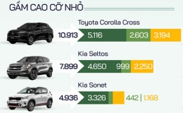 Những mẫu xe bán chạy nhất từng phân khúc nửa đầu 2022