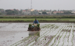 Sản xuất vụ mùa bảo đảm trong khung thời vụ tốt nhất