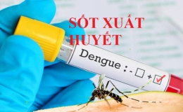 Số mắc và tử vong do sốt xuất huyết đều tăng, Bộ Y tế phân tuyến quản lý, điều trị