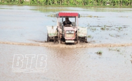 Xí nghiệp Khai thác công trình thủy lợi huyện Tiền Hải: Điều hành nguồn nước linh hoạt phục vụ sản xuất vụ mùa