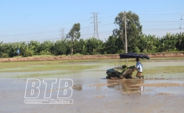 3 địa phương hoàn thành gieo cấy lúa mùa