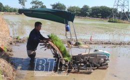 Chạy đua với thời vụ