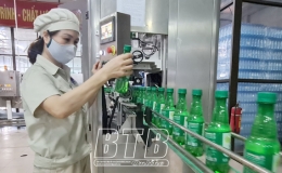 Công ty Cổ phần Dịch vụ dầu khí Thái Bình: Đổi mới để phát triển