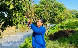 Hội Nông dân huyện Hưng Hà cùng nông dân phát triển kinh tế