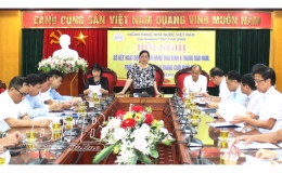 Doanh số cho vay được hỗ trợ lãi suất đạt hơn 593 tỷ đồng