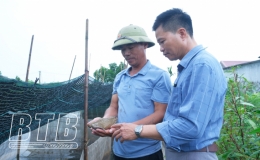 Đồng Tiến: Sản xuất gắn với bảo vệ môi trường