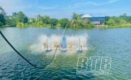 Hưng Hà: Bảo đảm an toàn nuôi trồng thủy sản mùa mưa bão