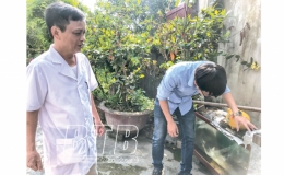 Không chủ quan với sốt xuất huyết