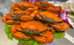 Mẹo chọn cua biển ngon mà người làm nội trợ cần biết