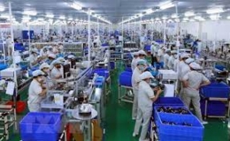Quý II/2023: 51,2 triệu lao động có việc làm