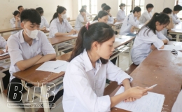 Thái Bình có 475 bài thi đạt điểm 10 trong kỳ thi tốt nghiệp THPT năm 2023