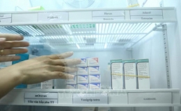 Tiếp tục bố trí ngân sách mua vắc xin cho Chương trình tiêm chủng mở rộng