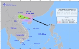 Tin bão khẩn cấp (Cơn bão số 1)