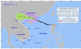 Tin nhanh về bão số 1