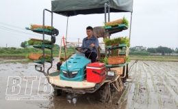 Vũ Thư: Khẩn trương phủ xanh các xứ đồng
