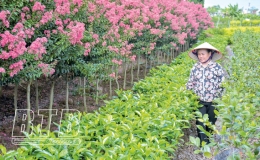 Vun đắp hạnh phúc gia đình