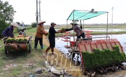 Kiến Xương: Mở rộng diện tích cấy máy, giảm ruộng bỏ hoang, tăng ruộng tích tụ