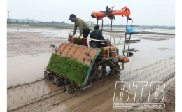 Rộn ràng vụ mùa ở Hưng Hà