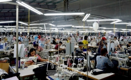 Thái Thụy: Tổng giá trị sản xuất 6 tháng đầu năm 2024 tăng 8,63% so với cùng kỳ