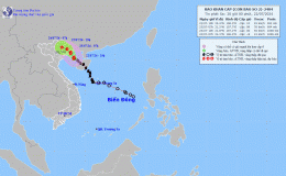 Tin bão khẩn cấp (Cơn bão số 2)