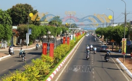 Tuyến đường trồng hoa mai vàng dài nhất Việt Nam