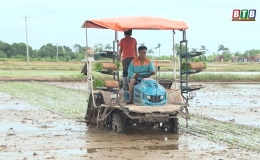 Vũ Thư tăng số lượng máy cấy phục vụ sản xuất vụ mùa