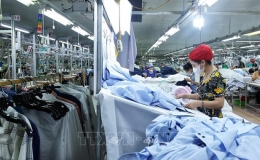 Xu hướng tích cực trong hoạt động đăng ký doanh nghiệp 6 tháng năm 2024
