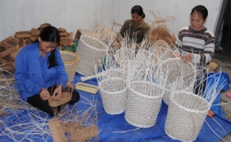 Quỹ tín dụng nhân dân Vũ Ninh
Khởi sắc thị trường tín dụng địa phương