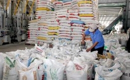 Tăng thời hạn mua tạm trữ thóc và gạo vụ Hè Thu