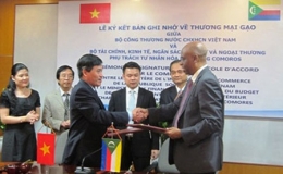 Việt Nam sẽ cung cấp cho Comoros 60.000 tấn gạo mỗi năm