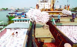 Xuất khẩu gạo cuối năm có thể chậm lại